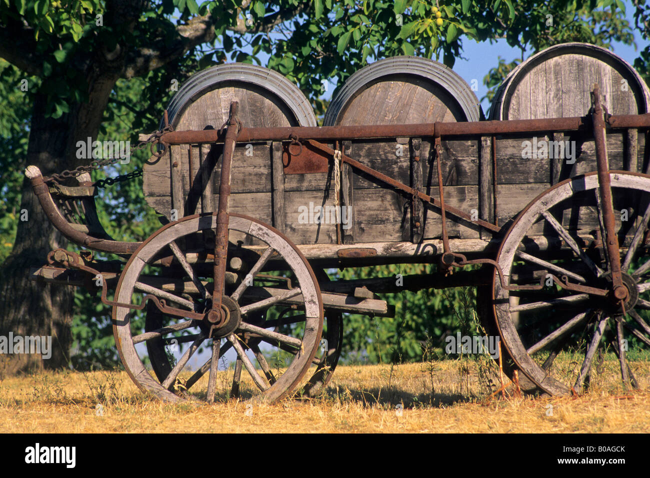 Old wooden wagon wine barrels near Plymouth Shenandoah Valley Amador