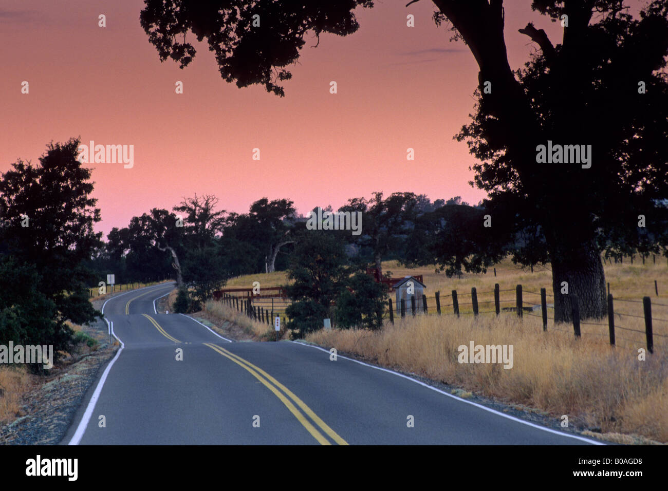 Morning light over country road near Plymouth Shenandoah Valley Amador County California Stock Photo