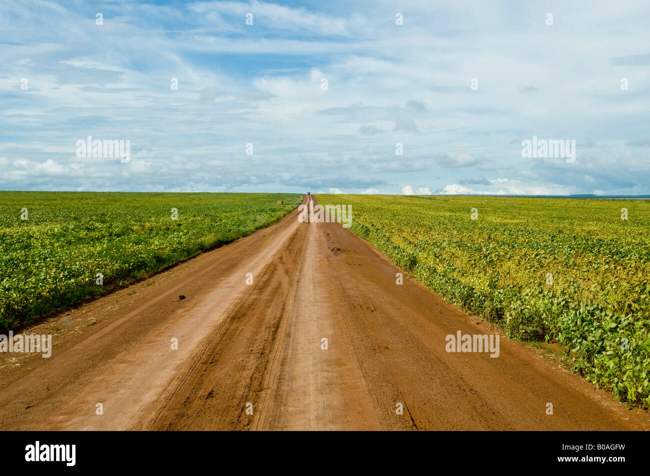 Road cuts across soy plantation at Fartura Farm 200 km from Cuiab Mato Grosso Brazil Stock Photo