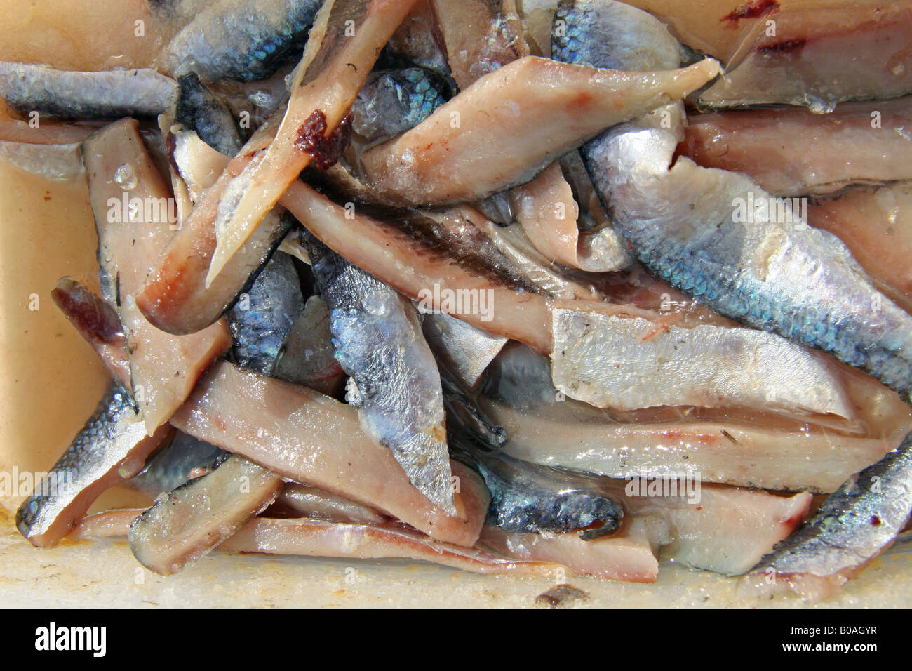 Chum bait hi-res stock photography and images - Alamy