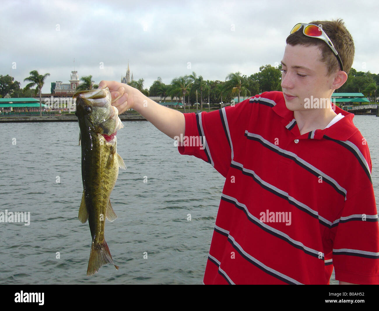 Disney bass fishing Stock Photo Alamy