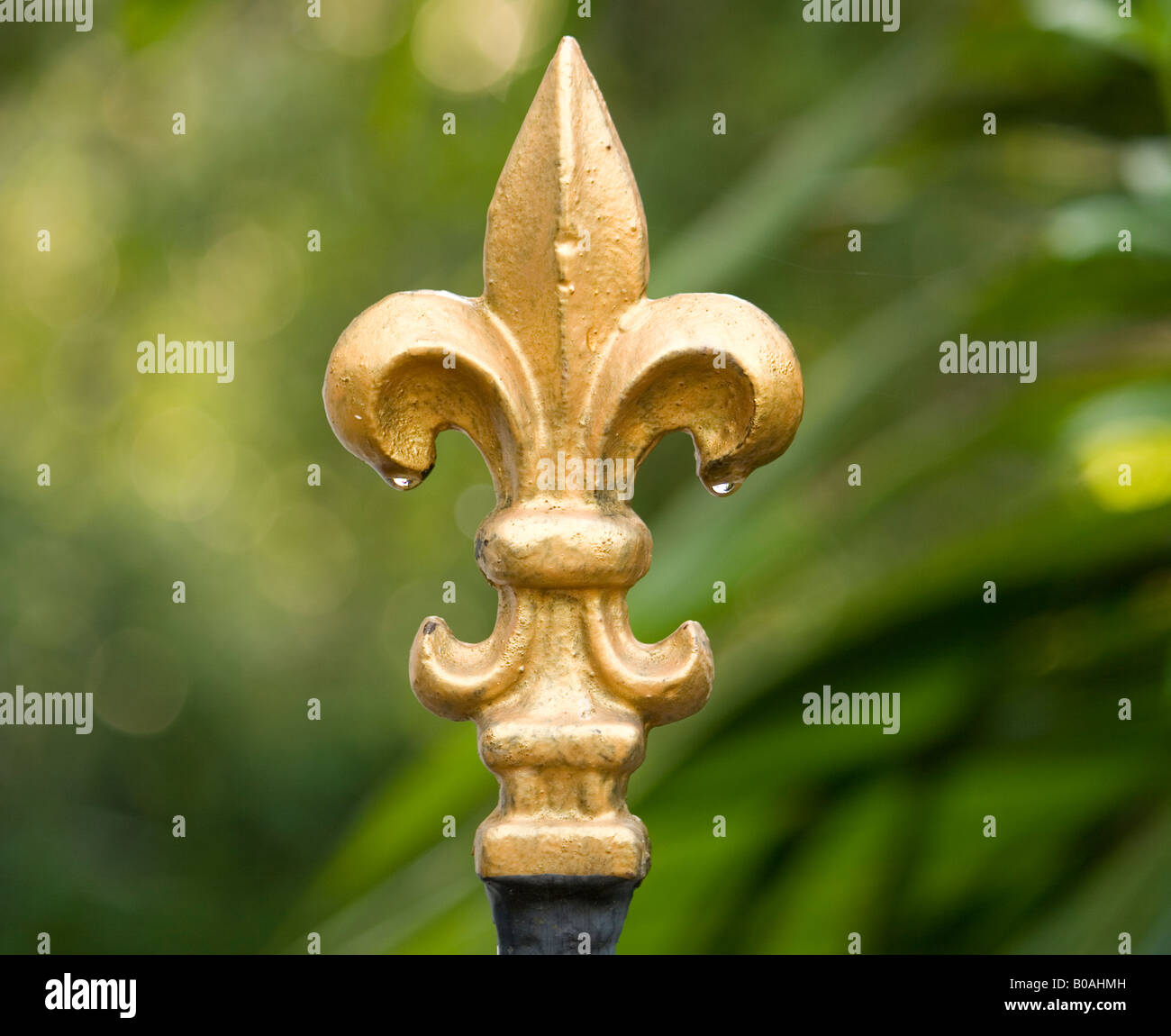 Wrought iron piece in golden paint Stock Photo Alamy