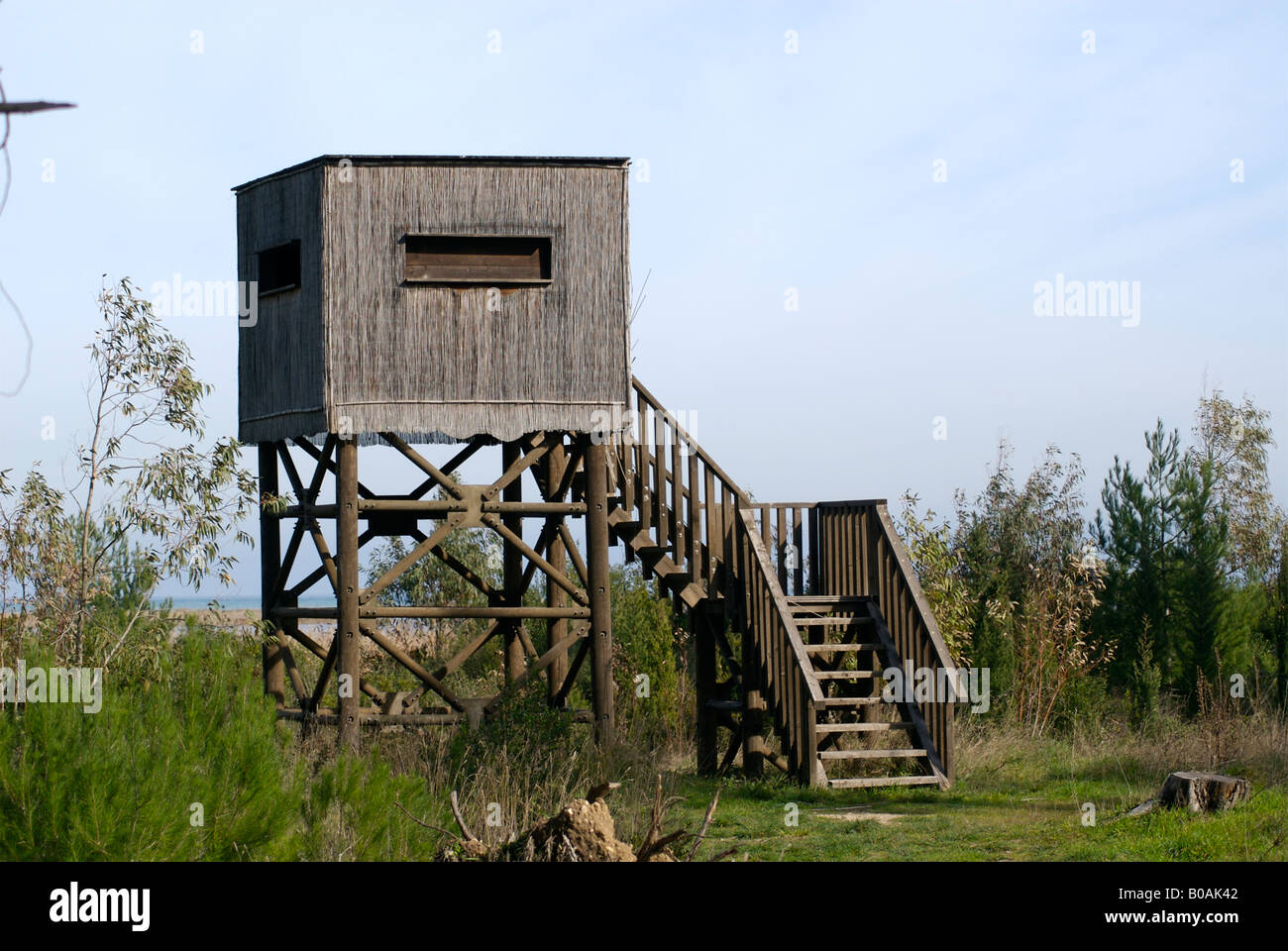 wildlife watching hut Stock Photo Alamy