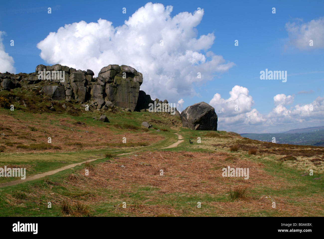 The Cow and Calf rocks on Ilkley Moor Bradford West Yorkshire Stock Photo Alamy