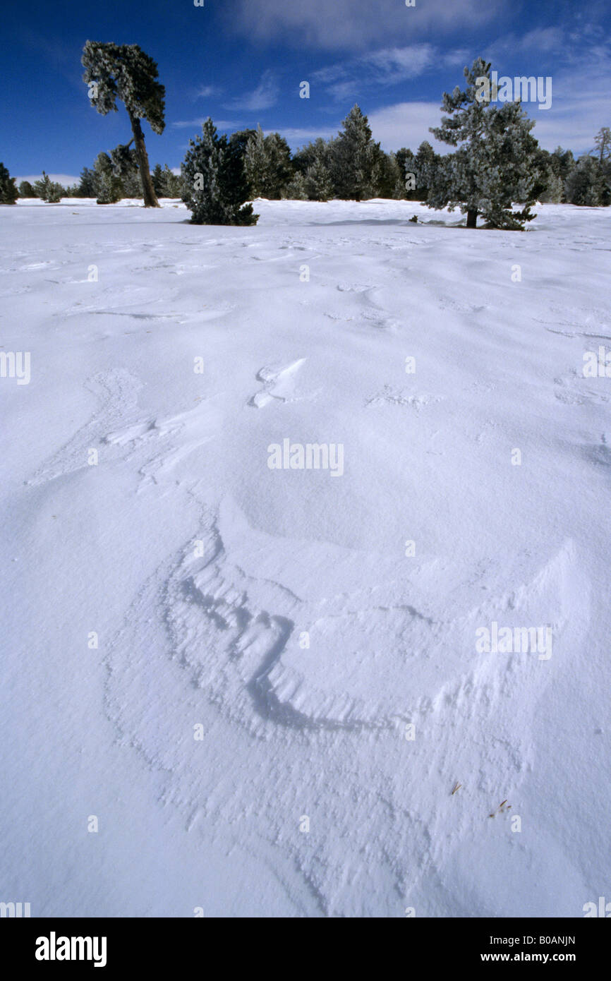 Snow formations on Sierra Gudar, Teruel province, Spain Stock Photo