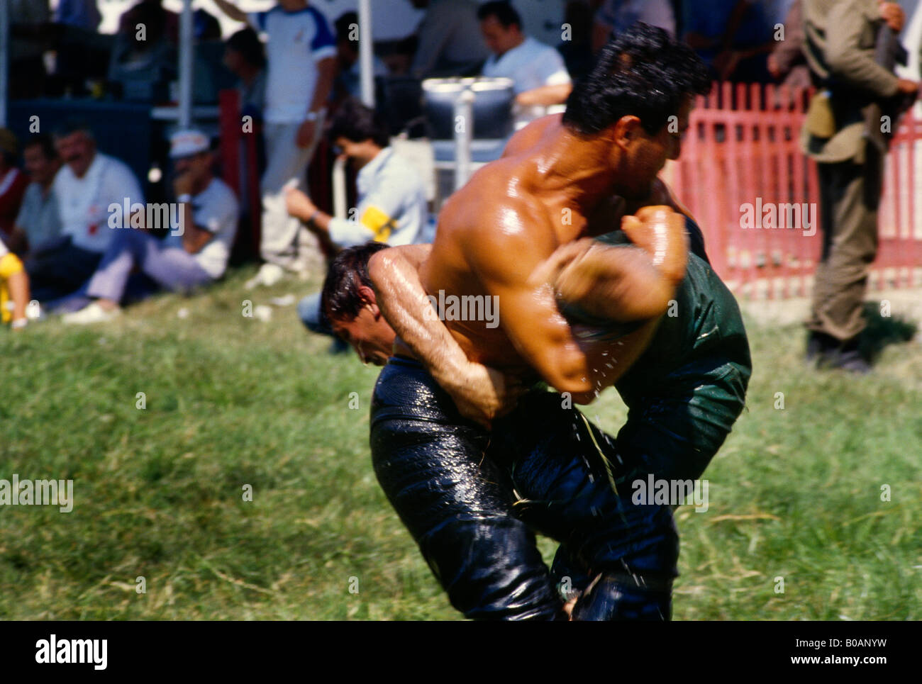 Edirne Turkey Men Oil Wrestling (Yagli Gures) At Kirkpinar Tournament Held Annually Since 1362 Oldest  Sporting Competition Stock Photo