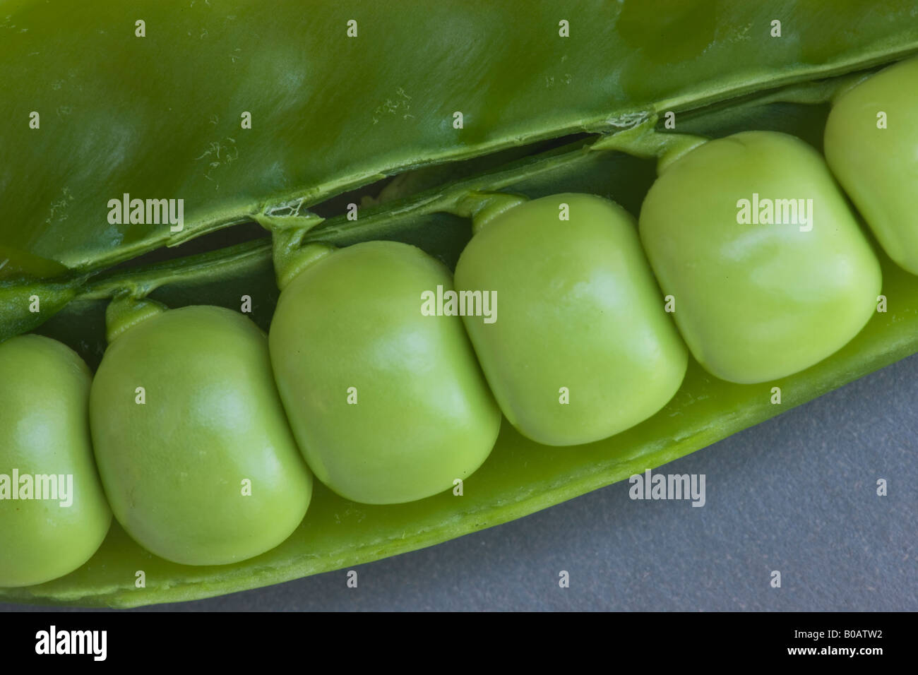 Green Peas in open pod. Stock Photo