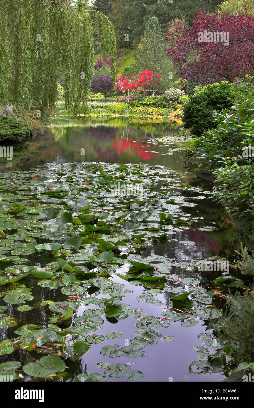 Weeping willow and water lily pond hi-res stock photography and images ...