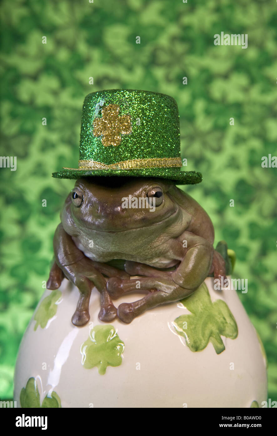 frog st patricks day clip art