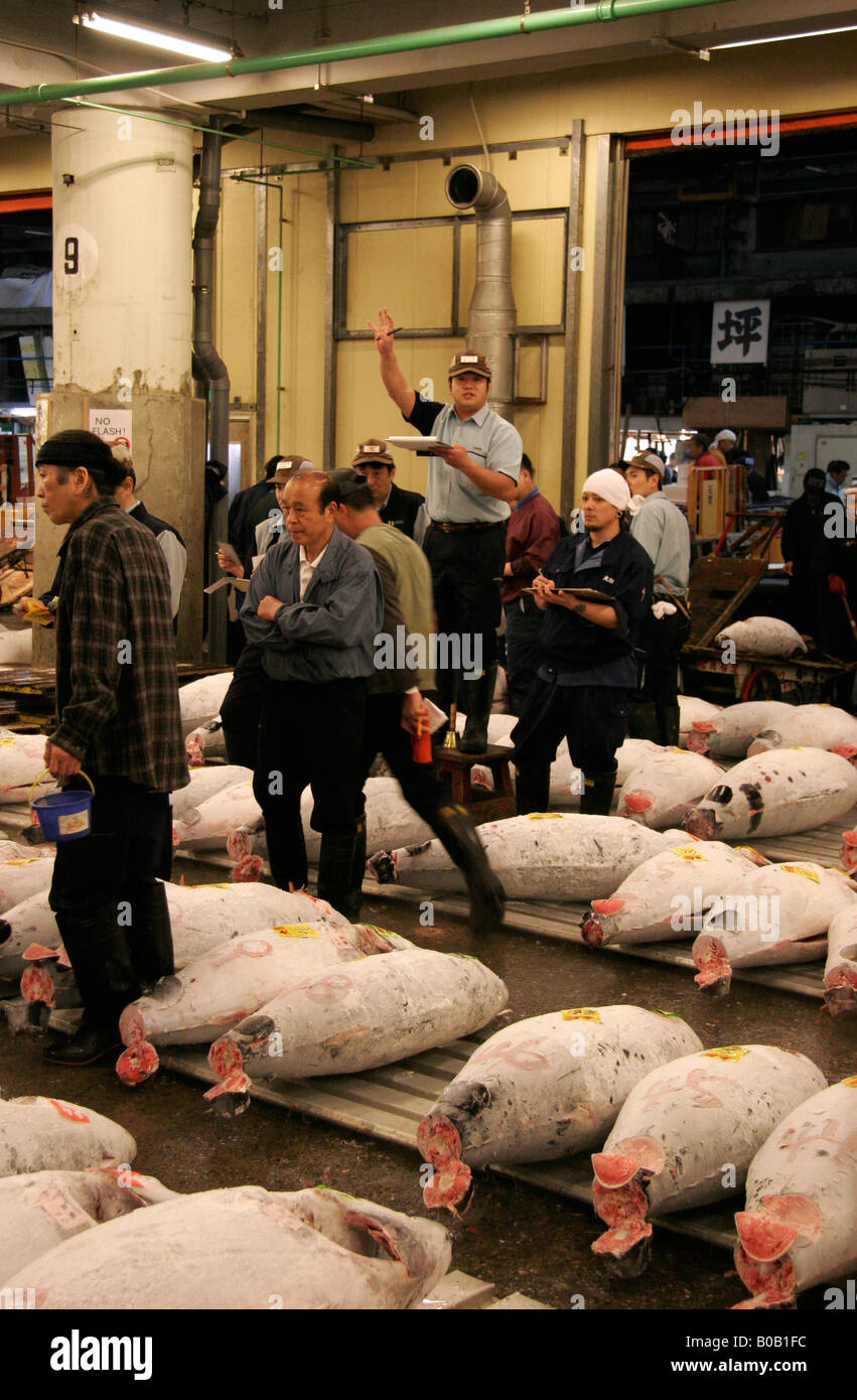 Tsukiji wholesale fish Market Tuna Auction, Tokyo, Japan Stock Photo ...
