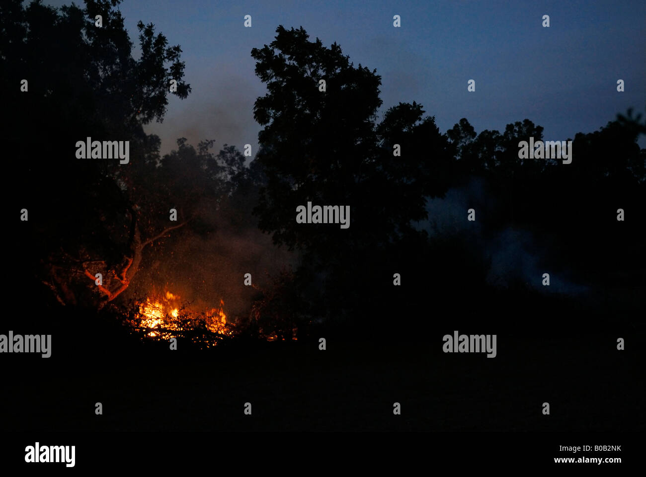 Scrub fire at night Stock Photo Alamy