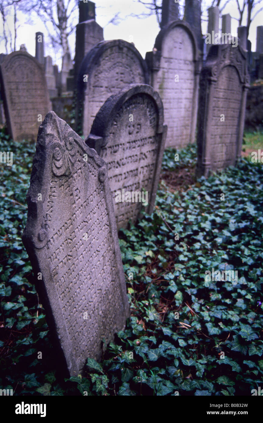 Jewish cemetery in TREBIC Czech Republic Stock Photo
