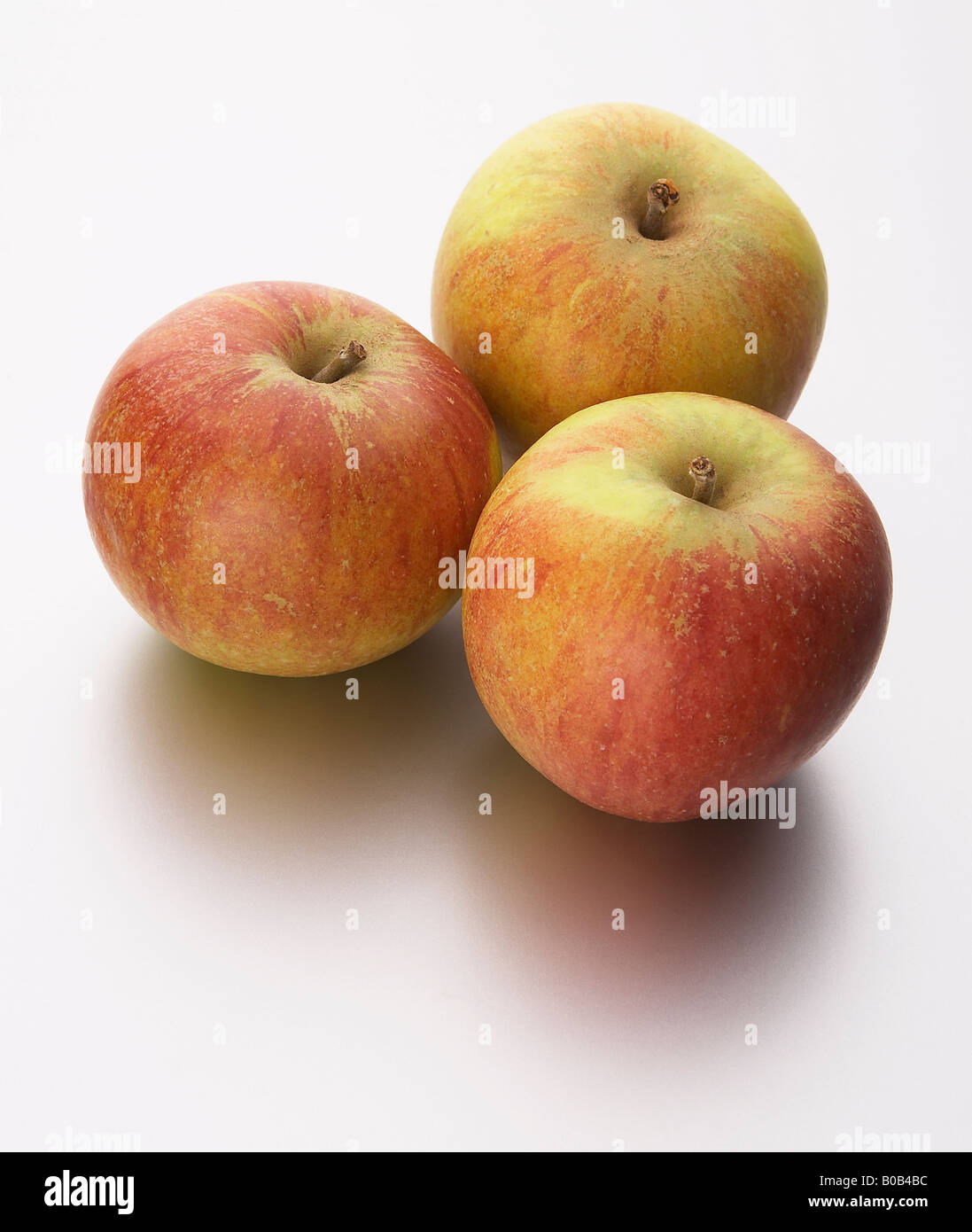 three cox apples Stock Photo