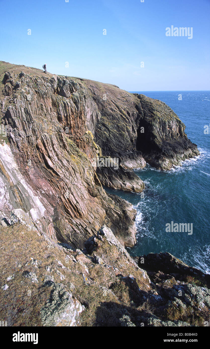 Rhins of Galloway Scotlands most southerly point Mull of Galloway, walker walking along top of cliff Scotland UK Stock Photo