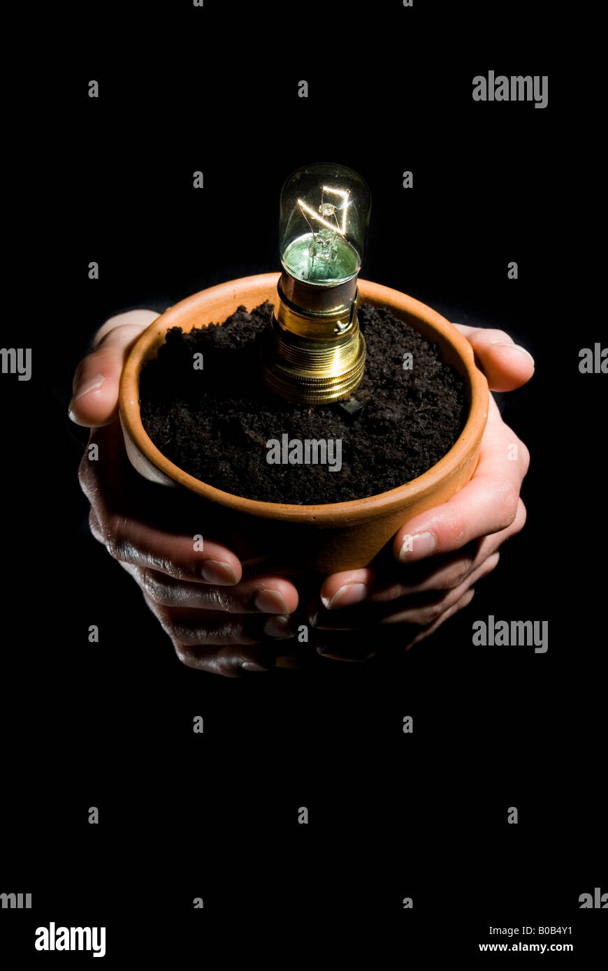 low watt light bulb growing out of a plant pot Stock Photo Alamy