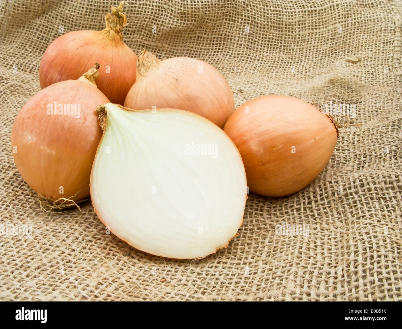 Onion pile over a burlap sack Stock Photo