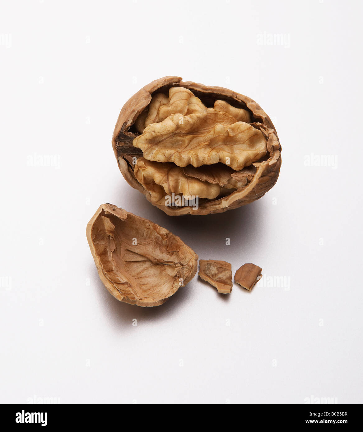 walnut in shell Stock Photo Alamy
