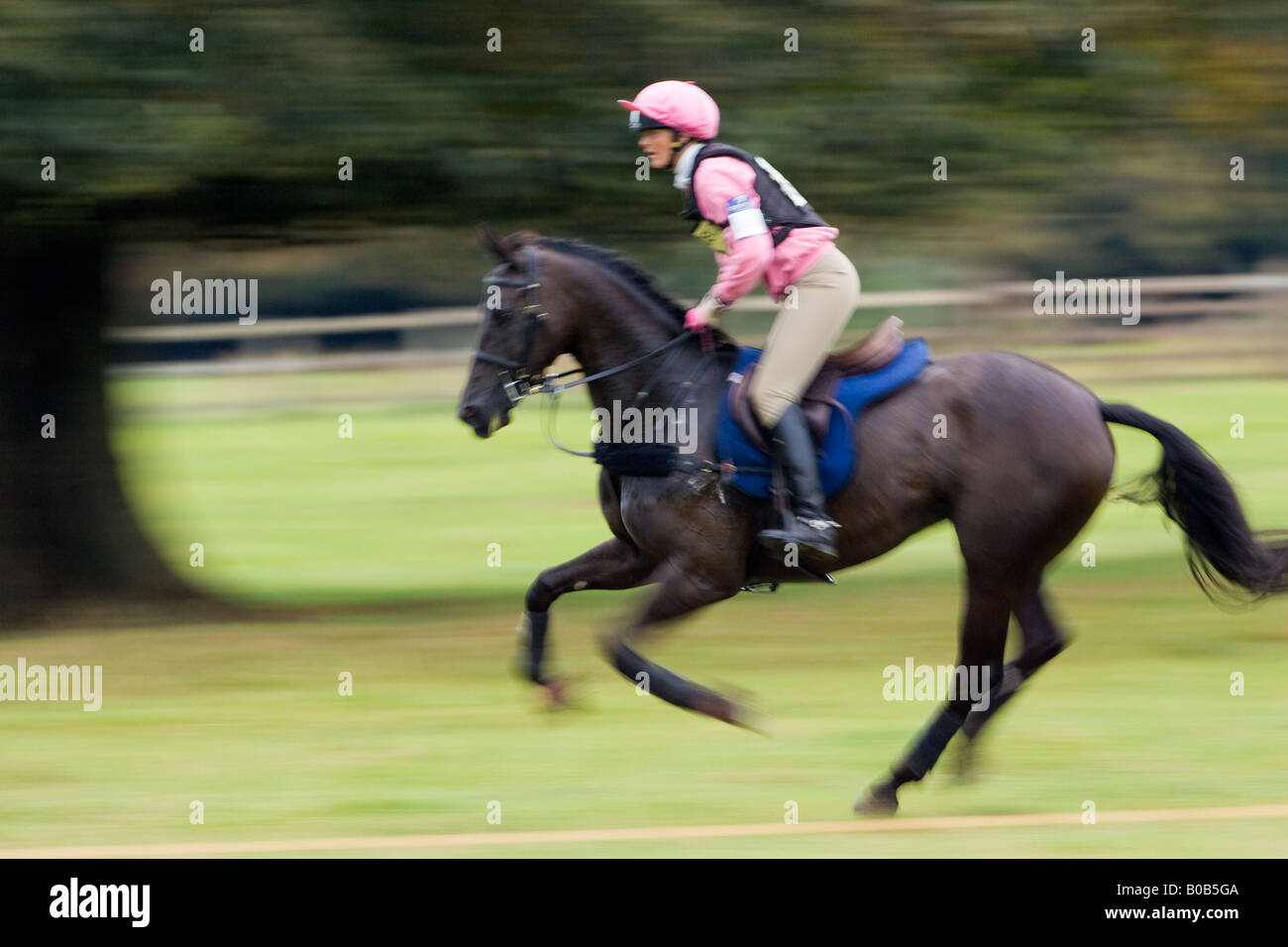 Horse and rider in the cross country phase of an eventing competition Charlton Park Wiltshire United Kingdom Stock Photo