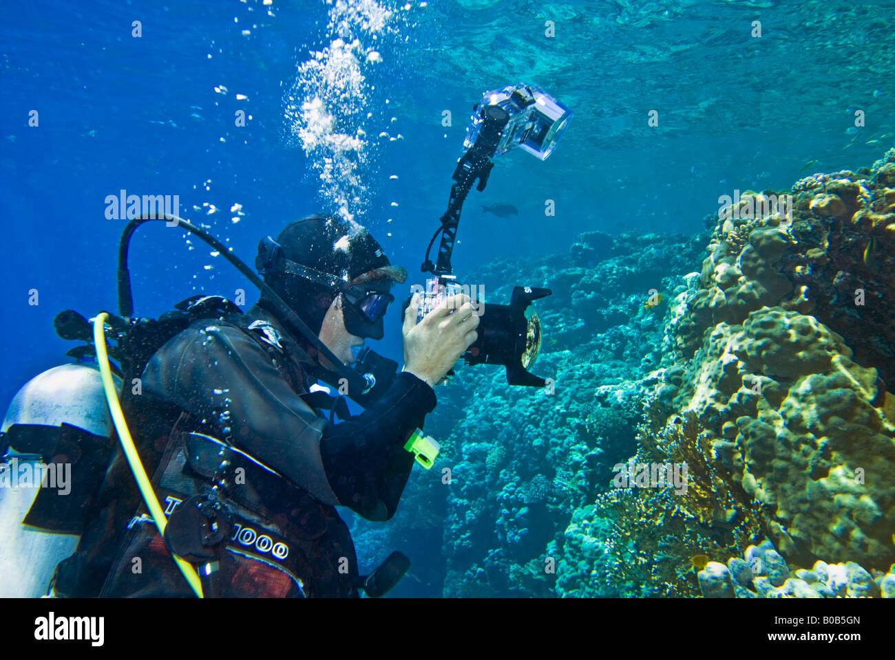 photographer diver scuba diving underwater under water camera reef riff