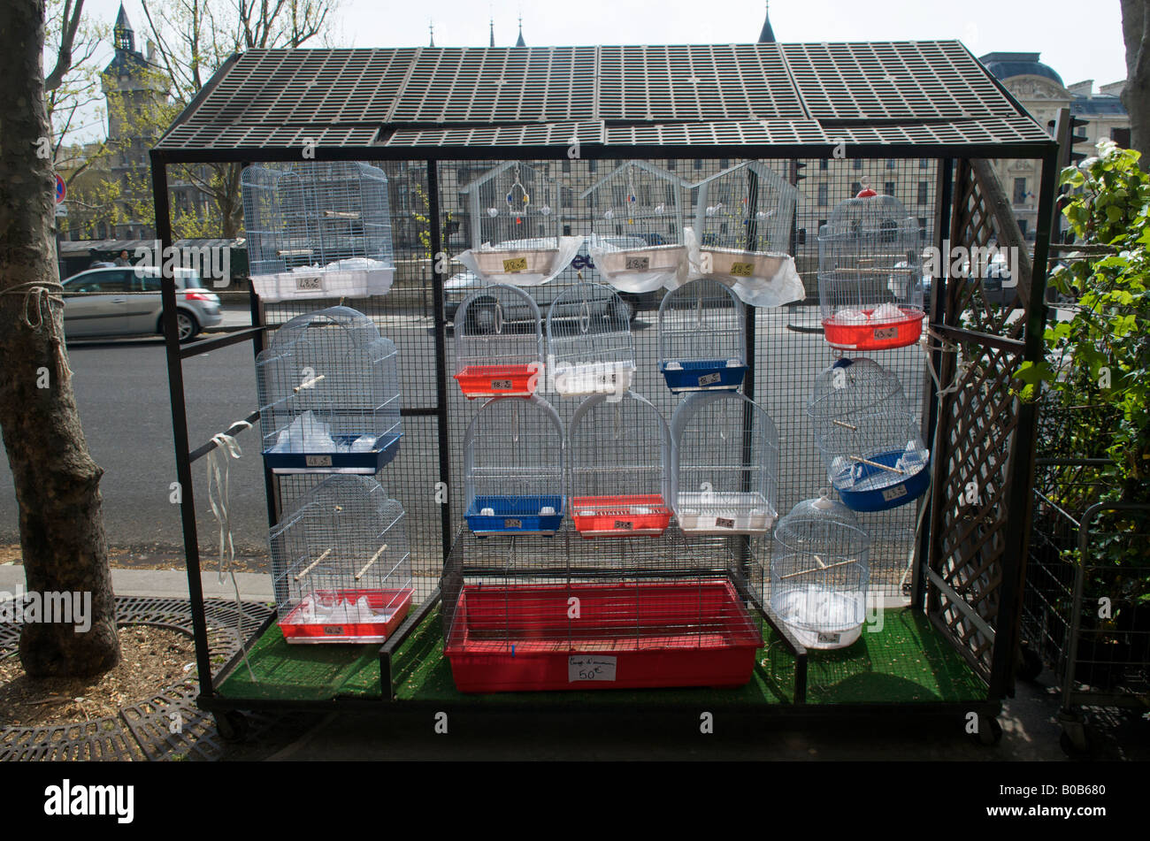 littlest pet shop bird cage