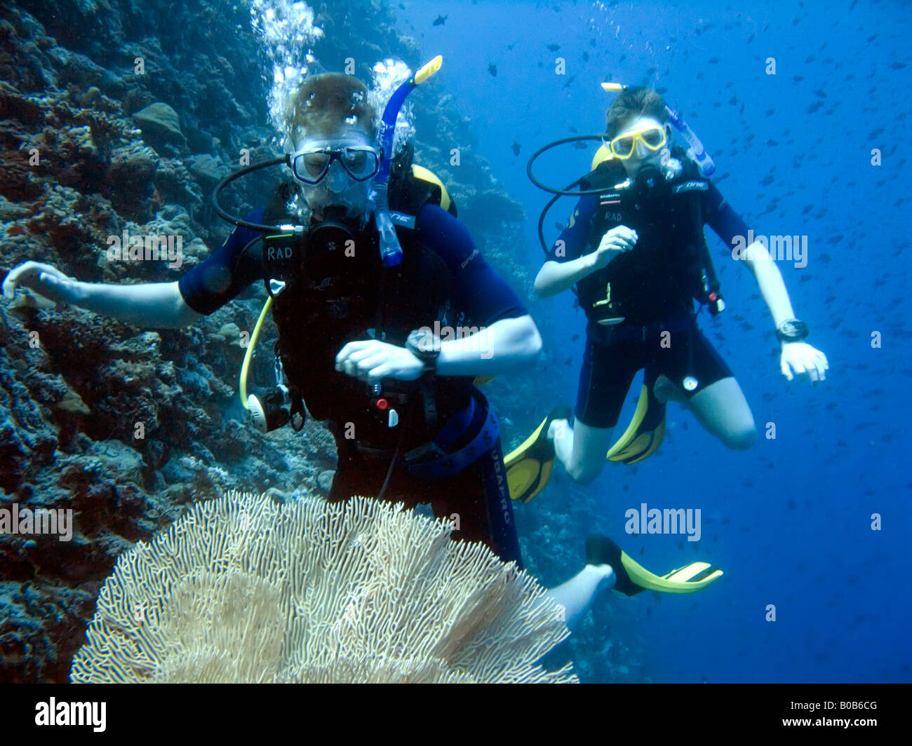 Beginner scuba diver hi-res stock photography and images - Alamy
