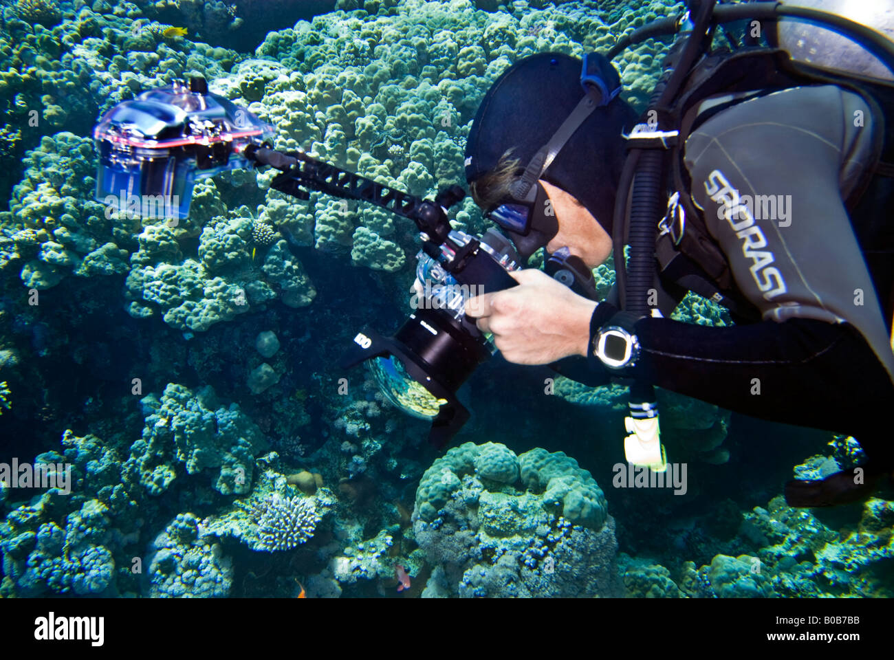 photographer diver scuba diving underwater under water camera reef riff