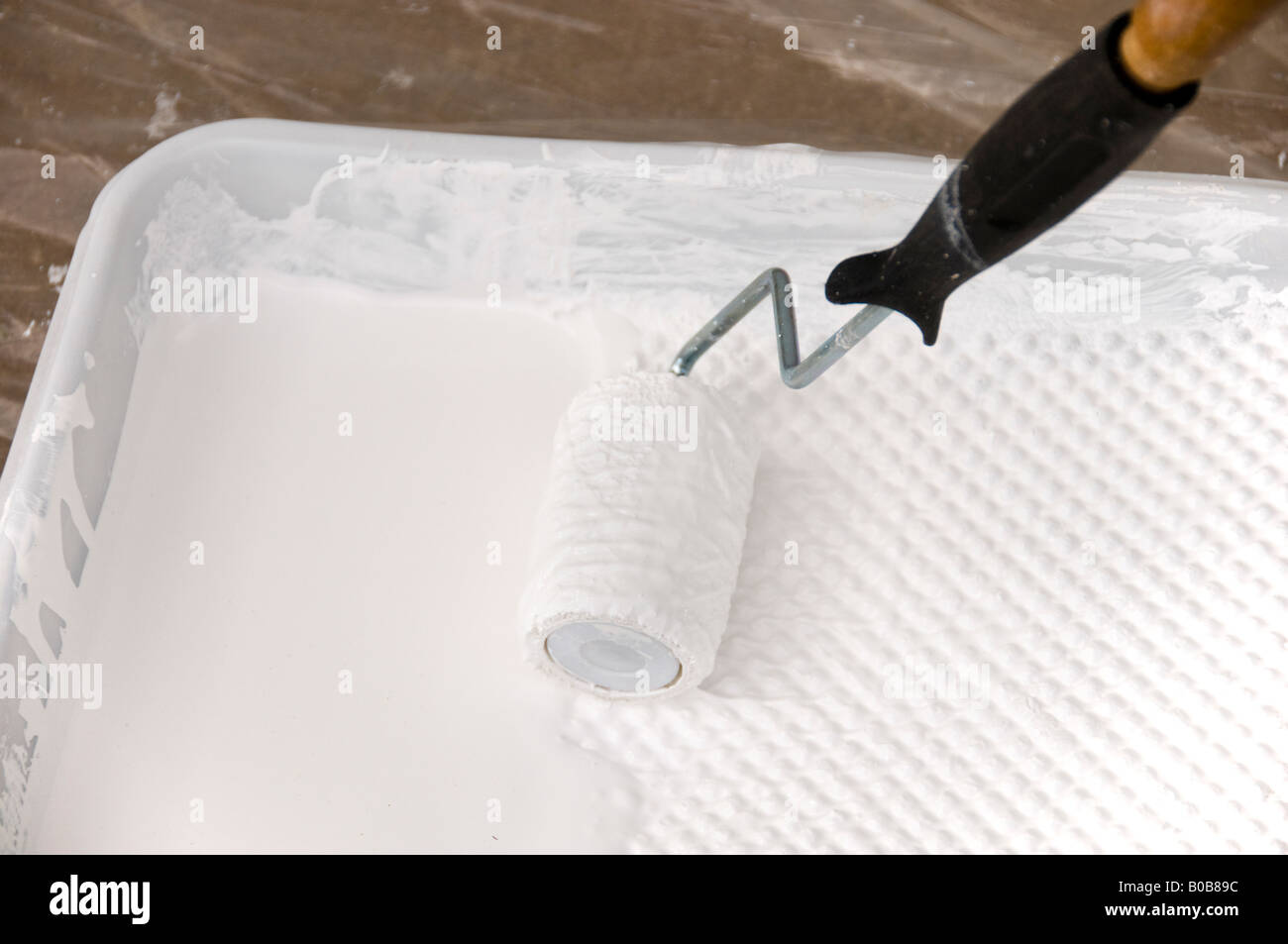 A 3 inch painting roller picks up white paint from a tray. USA. Stock Photo