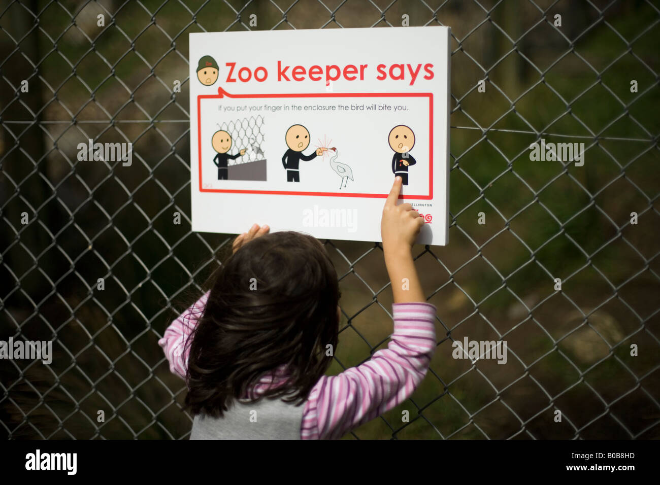 Girl aged four studies the warning sign telling visitors not to put their fingers through the fence to avoid being bitten Stock Photo