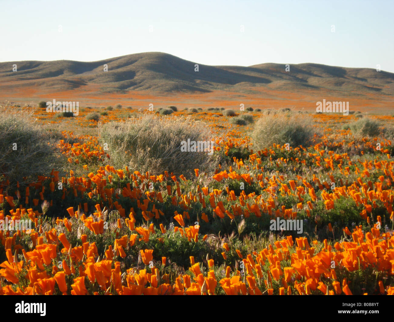 Antelope Valley High Resolution Stock Photography and Images Alamy