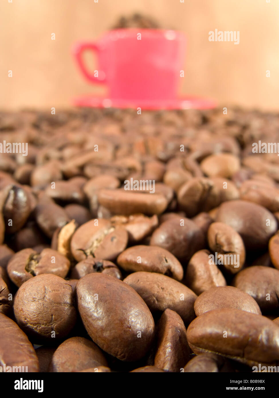 coffee beans and an espresso cup with grungy background Stock Photo