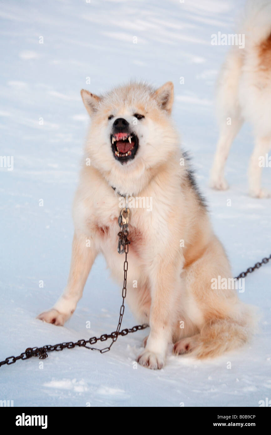 Stakeout hires stock photography and images Alamy