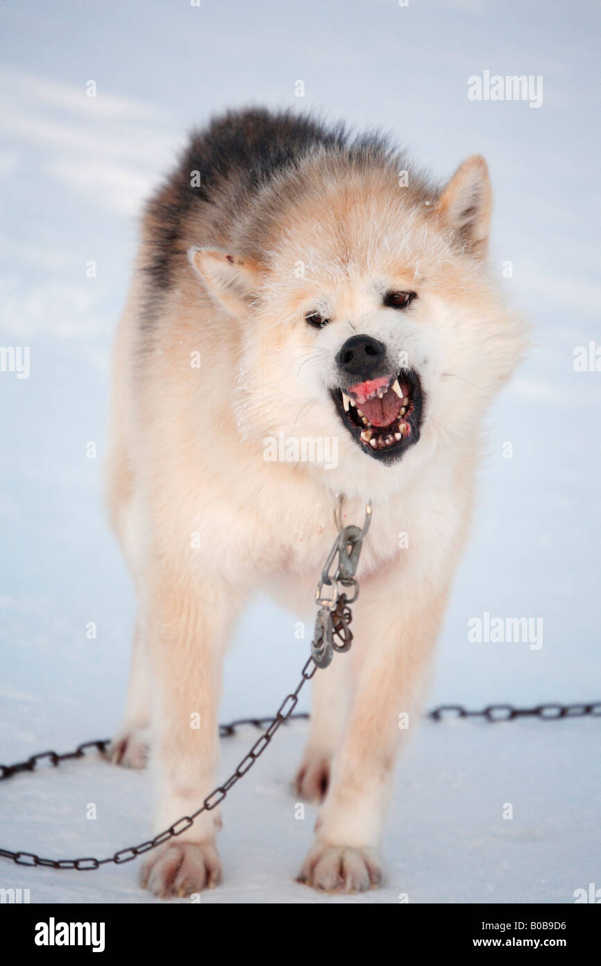 Stakeout hires stock photography and images Alamy