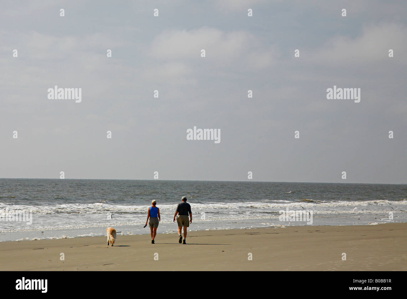 Couple and dog on beach, Jekyll Island, Stock Photo Alamy