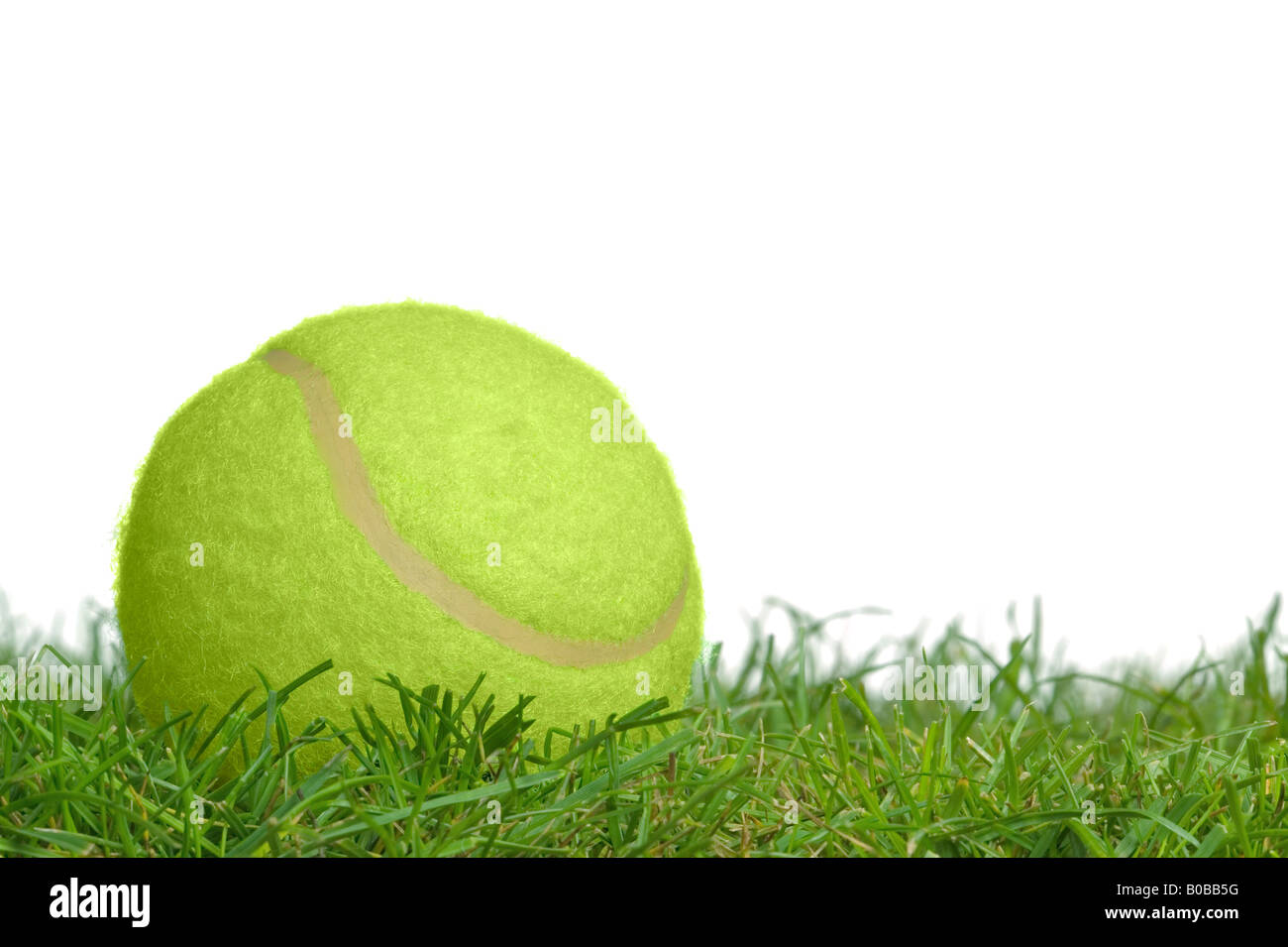Surface level shot of a yellow tennis ball on real grass Stock Photo