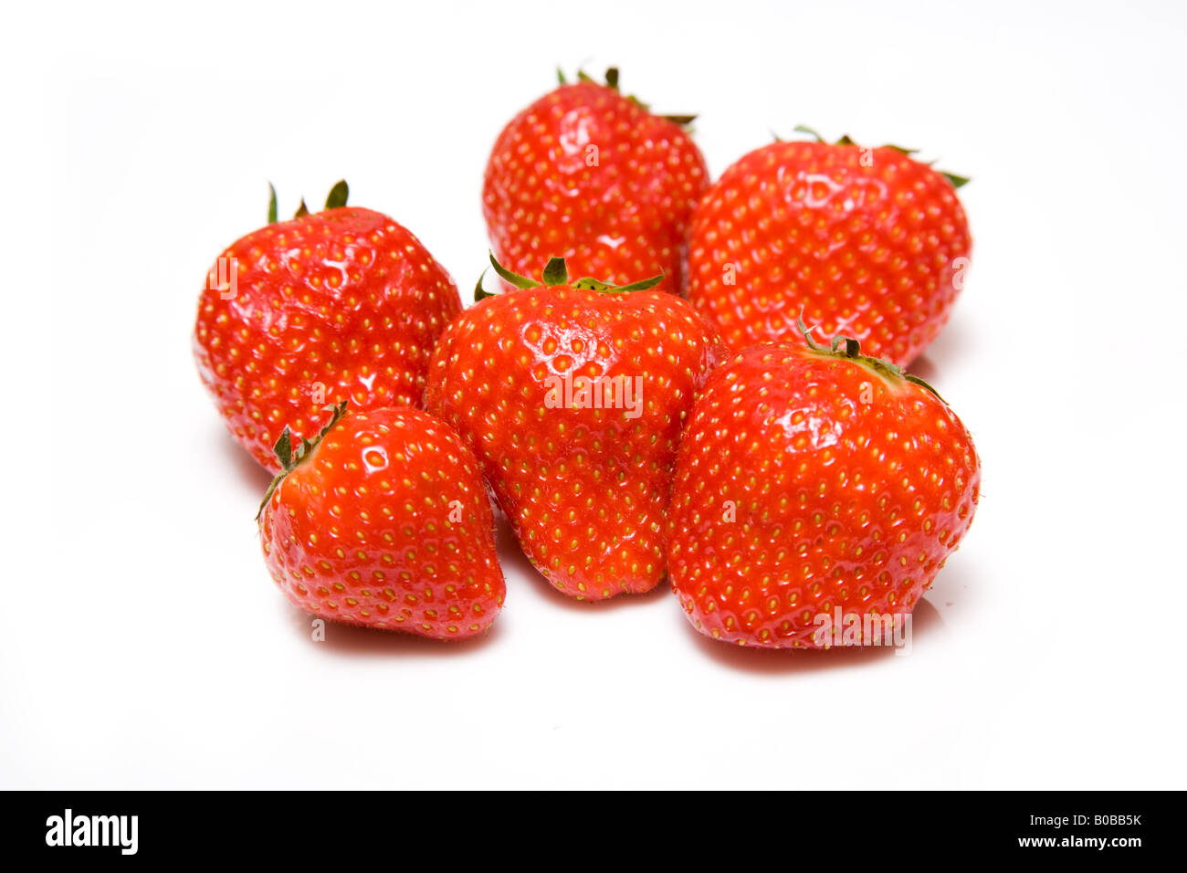 Strawberries isolated on a white studio background Stock Photo - Alamy