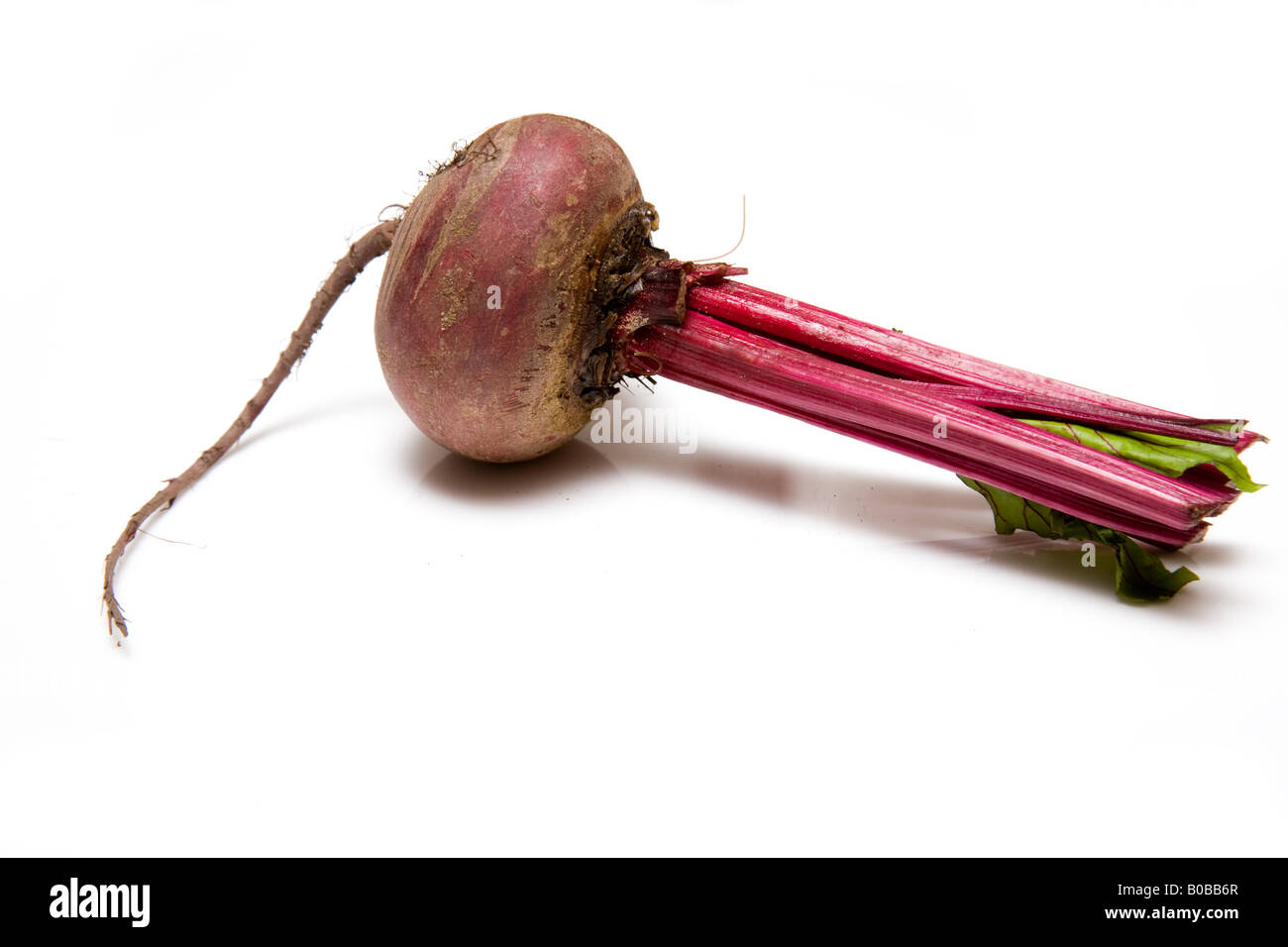 Beetroot isolated on a white studio background Stock Photo - Alamy