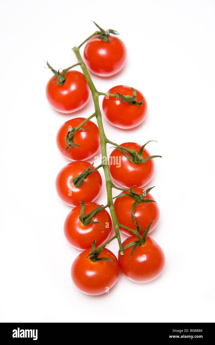 Vine tomatoes isolated on a white studio background Stock Photo - Alamy