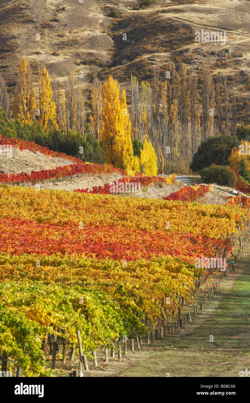 Mt difficulty wines new zealand hi-res stock photography and images - Alamy