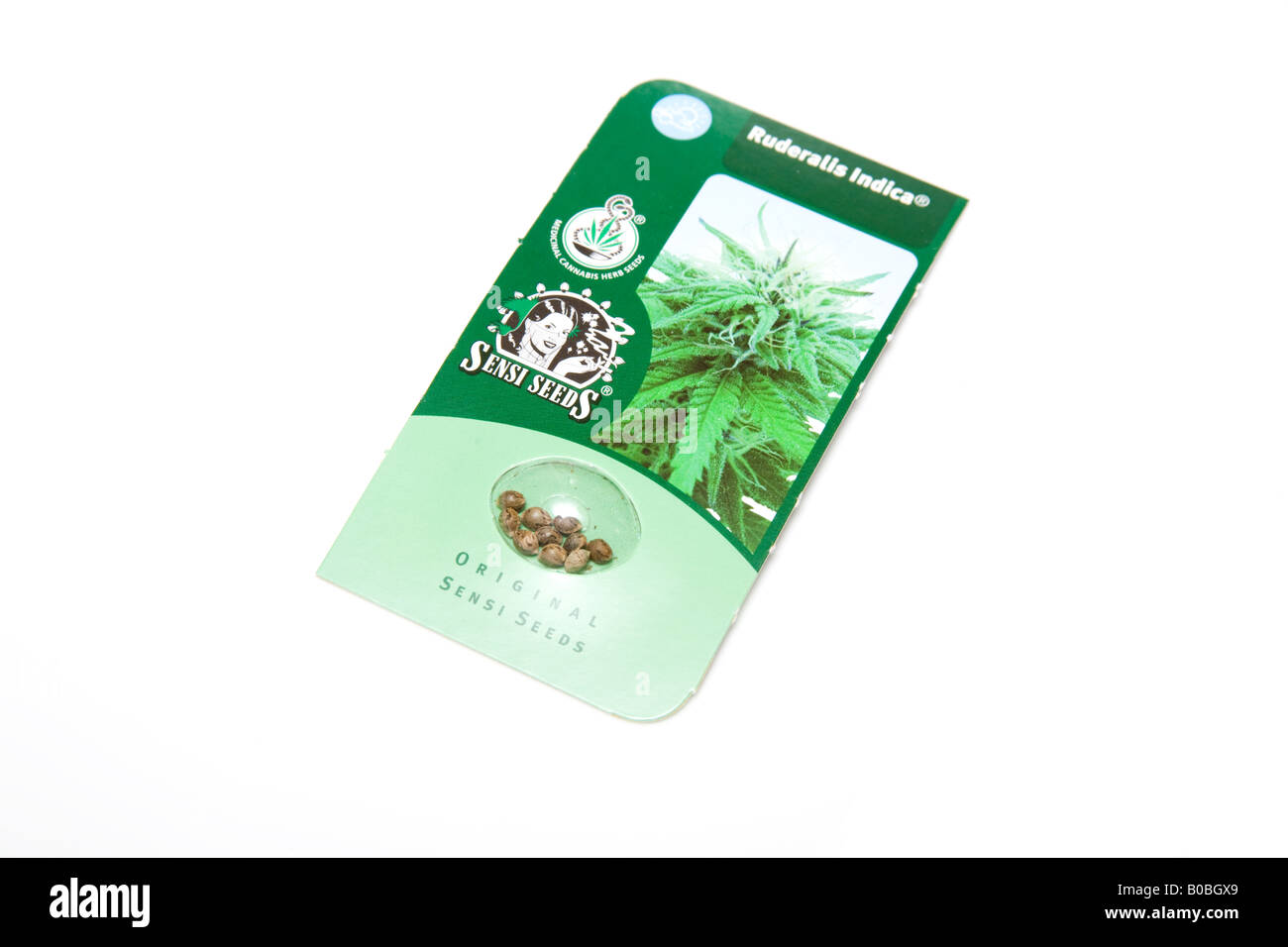 Sensi seed hi-res stock photography and images - Alamy