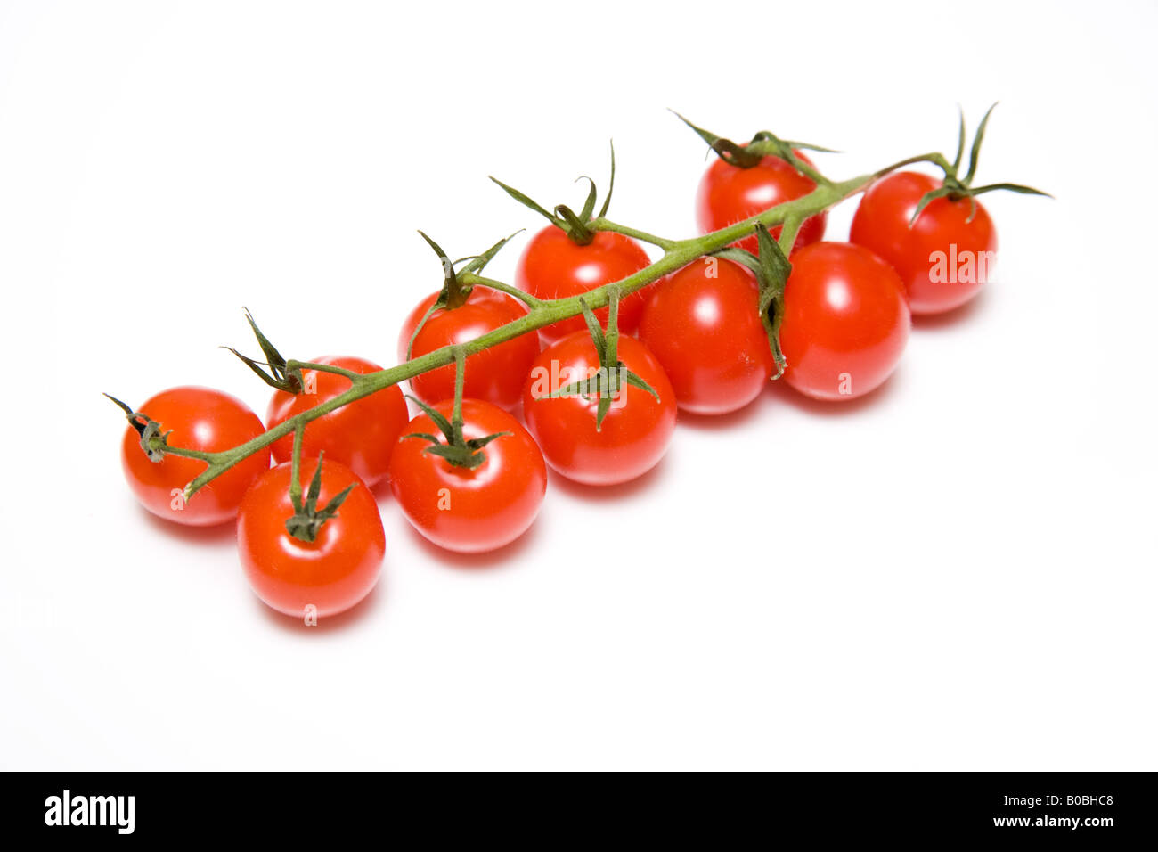 Vine tomatoes isolated on a white studio background Stock Photo - Alamy