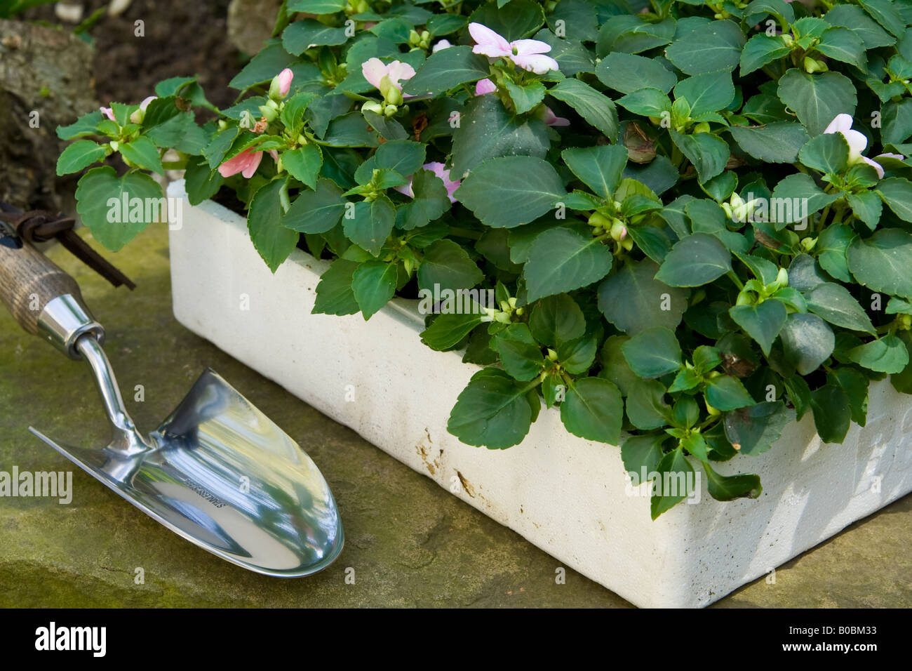 Trowel gardening hires stock photography and images Alamy