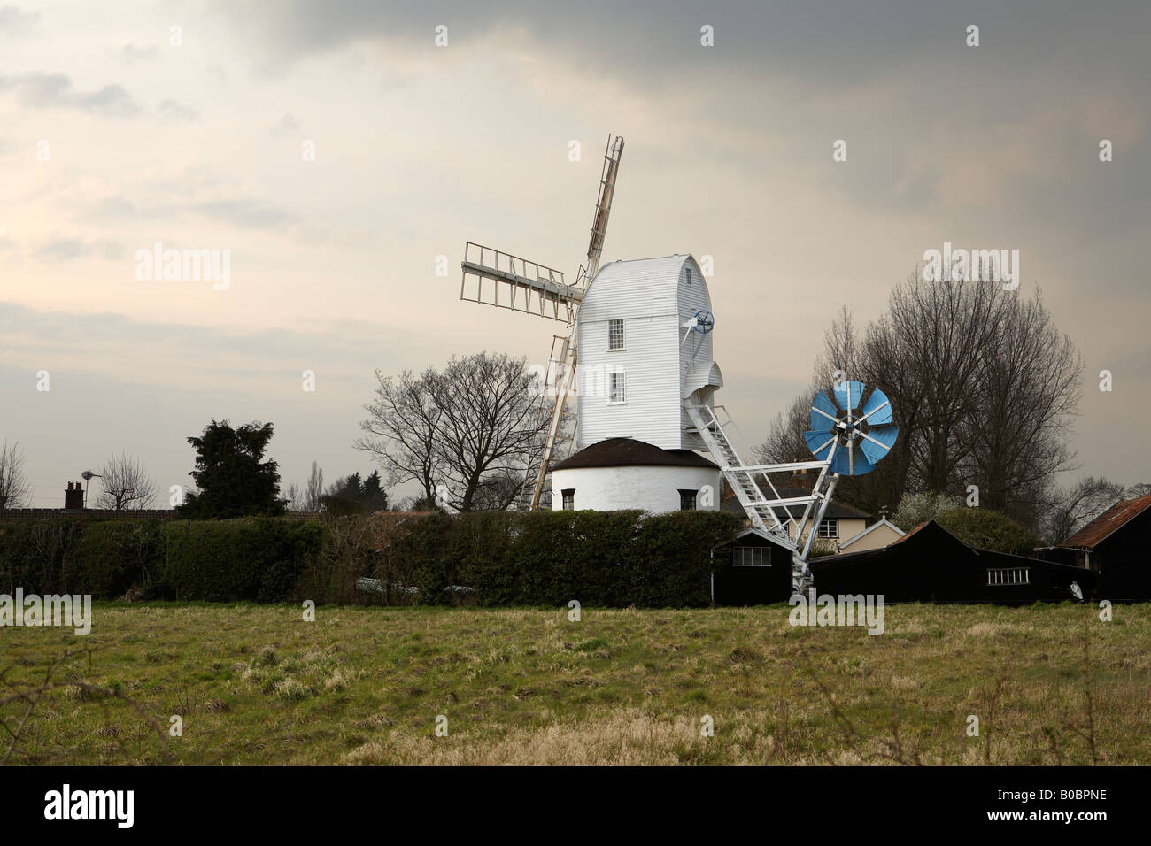 dating Suffolk