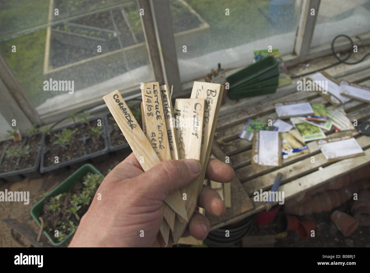 Plant labels hires stock photography and images Alamy