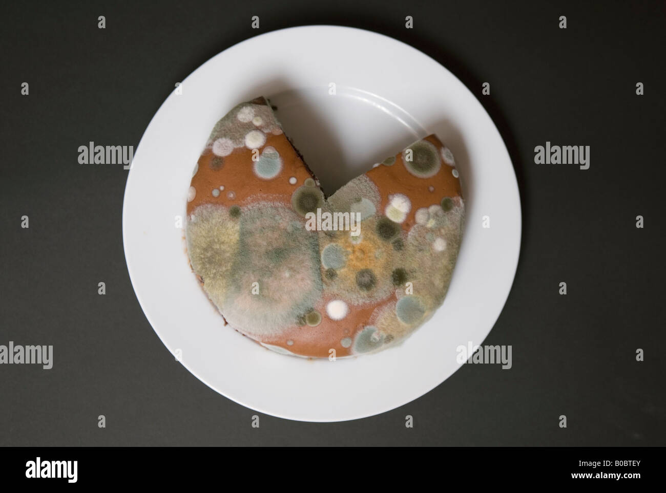 Moldy cake hires stock photography and images Alamy