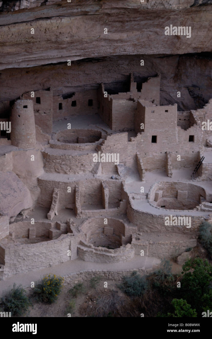 The cliff dwellings of the Mesa Verde National Park Colorado USA Stock ...