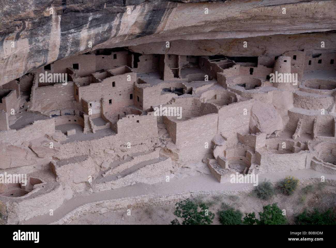 The cliff dwellings of the Mesa Verde National Park Colorado USA Stock ...