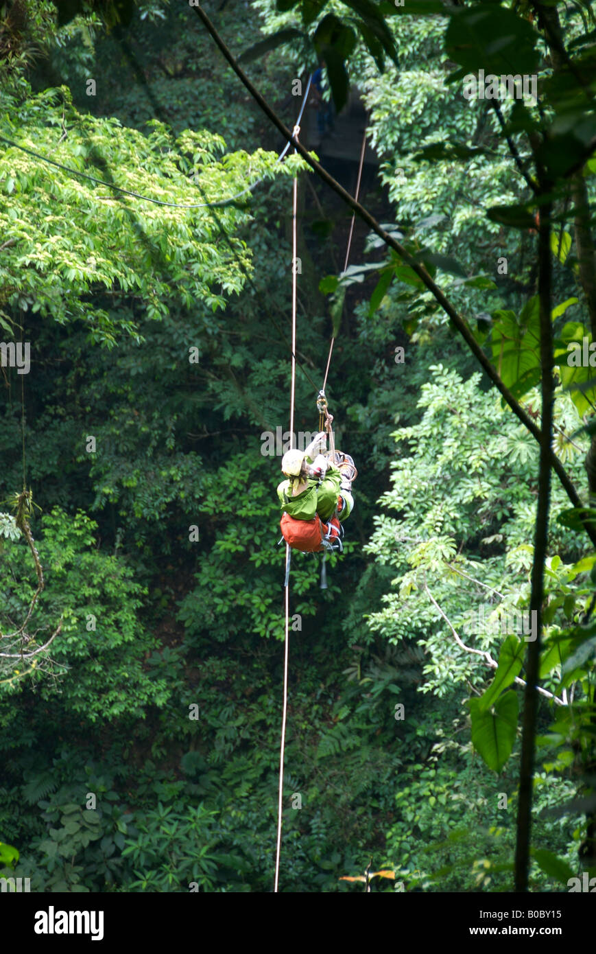 a woman flies on a zip line high up in the jungle on a canapy tour in el valle panama Stock Photo