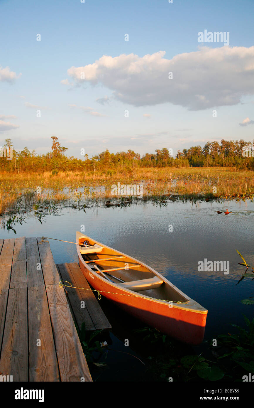 Okefenokee swamp wildlife florida hires stock photography and images