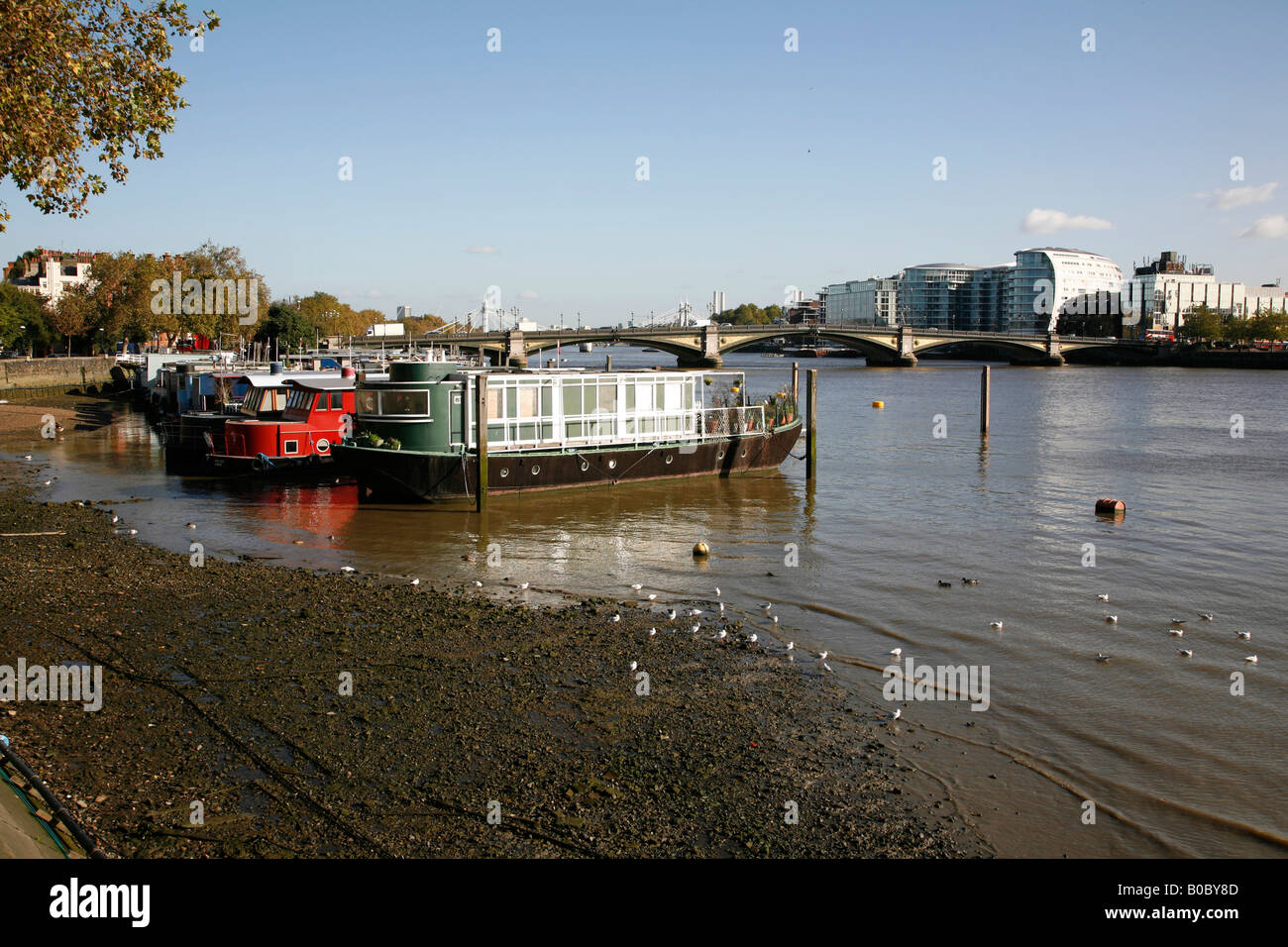 Chelsea Houseboats High Resolution Stock Photography and Images Alamy