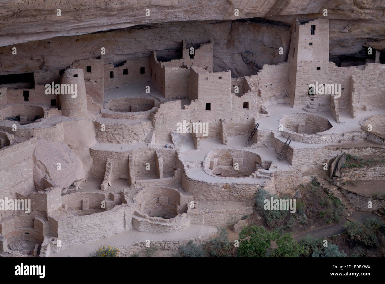 The cliff dwellings of the Mesa Verde National Park Colorado USA Stock ...